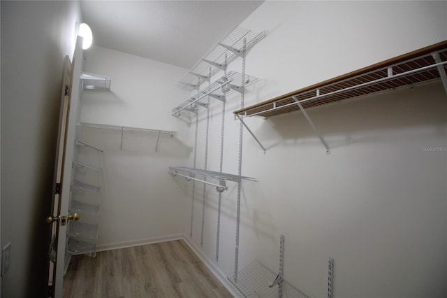 walk in closet featuring light hardwood / wood-style flooring