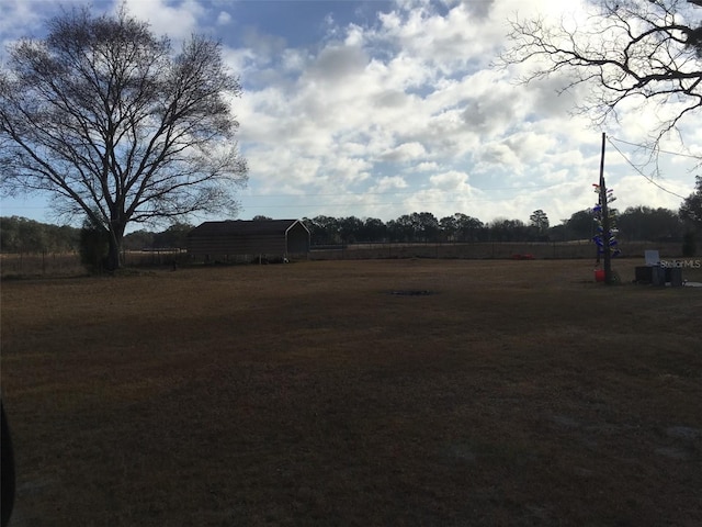 view of yard with a storage unit