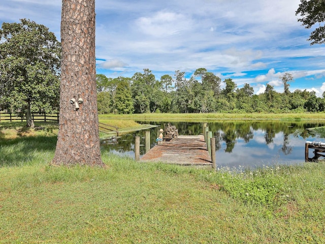 dock area featuring a water view