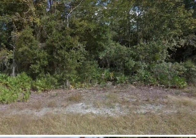 Listing photo 3 for 0 Mitchell Ave, Mims FL 32754