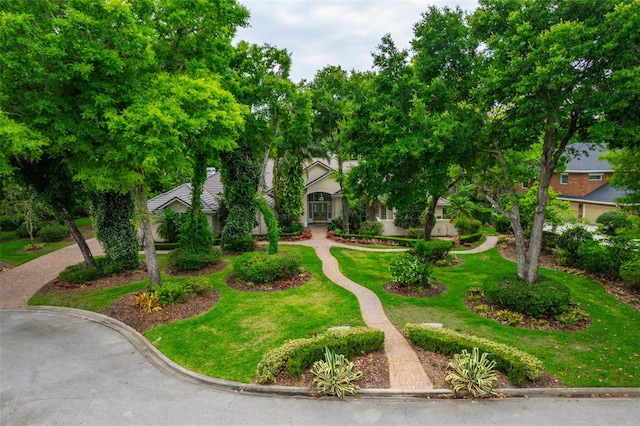 view of front of home featuring a front lawn