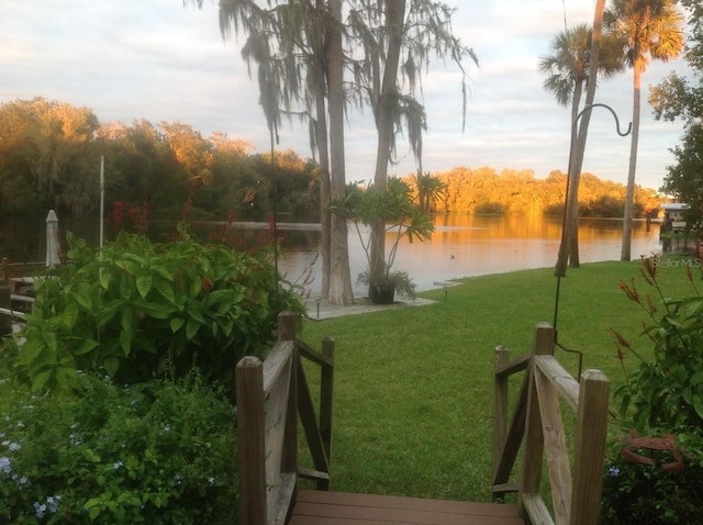 exterior space with a yard and a water view