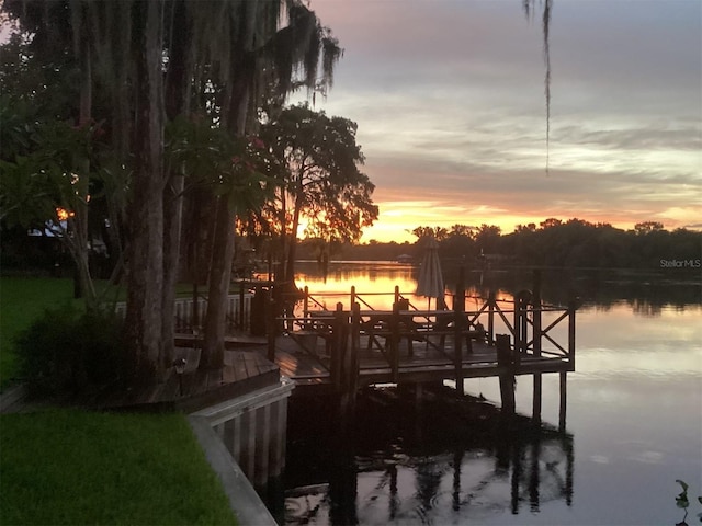 dock area with a water view