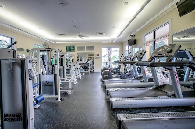 gym featuring plenty of natural light, ceiling fan, and ornamental molding