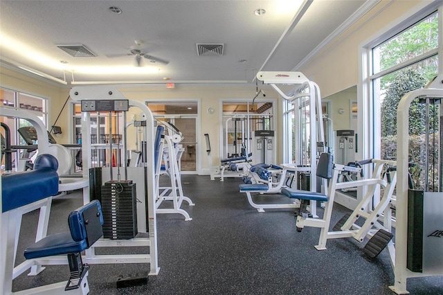 gym with ceiling fan and crown molding