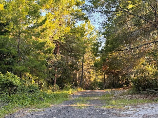 0 Philadelphia Ave, De Leon Springs FL, 32130 land for sale