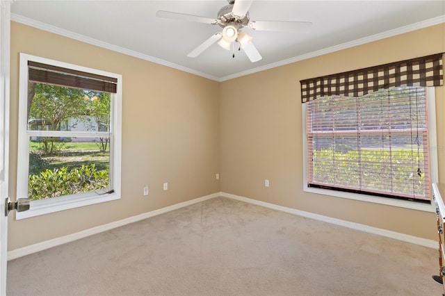 spare room with crown molding, carpet, and ceiling fan