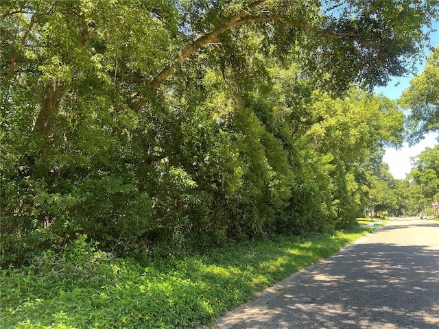 426 W Michigan Ave, Lake Helen, FL 32744 - photo 1