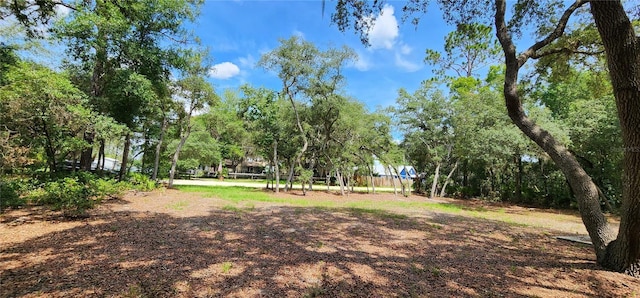 151 Violet Cir, Interlachen FL, 32148 land for sale