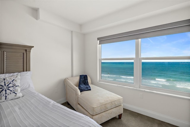 bedroom featuring a water view and a view of the beach