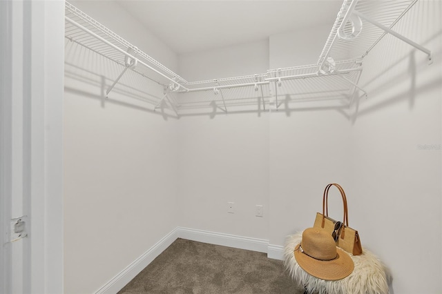 spacious closet with carpet