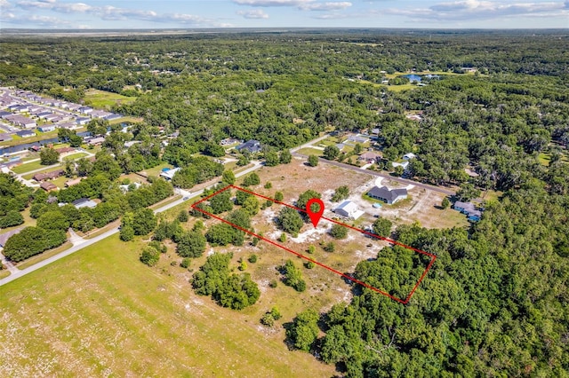 1675 N Stone St, Deland, FL 32720 - photo 2