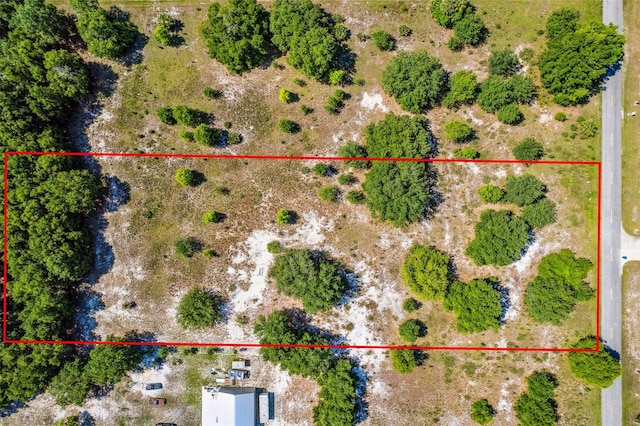 1675 N Stone St, Deland, FL 32720 - photo 4