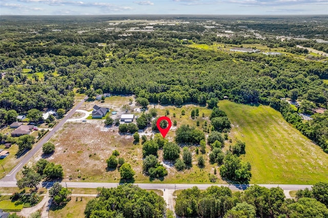 1675 N Stone St, Deland, FL 32720 - photo 5