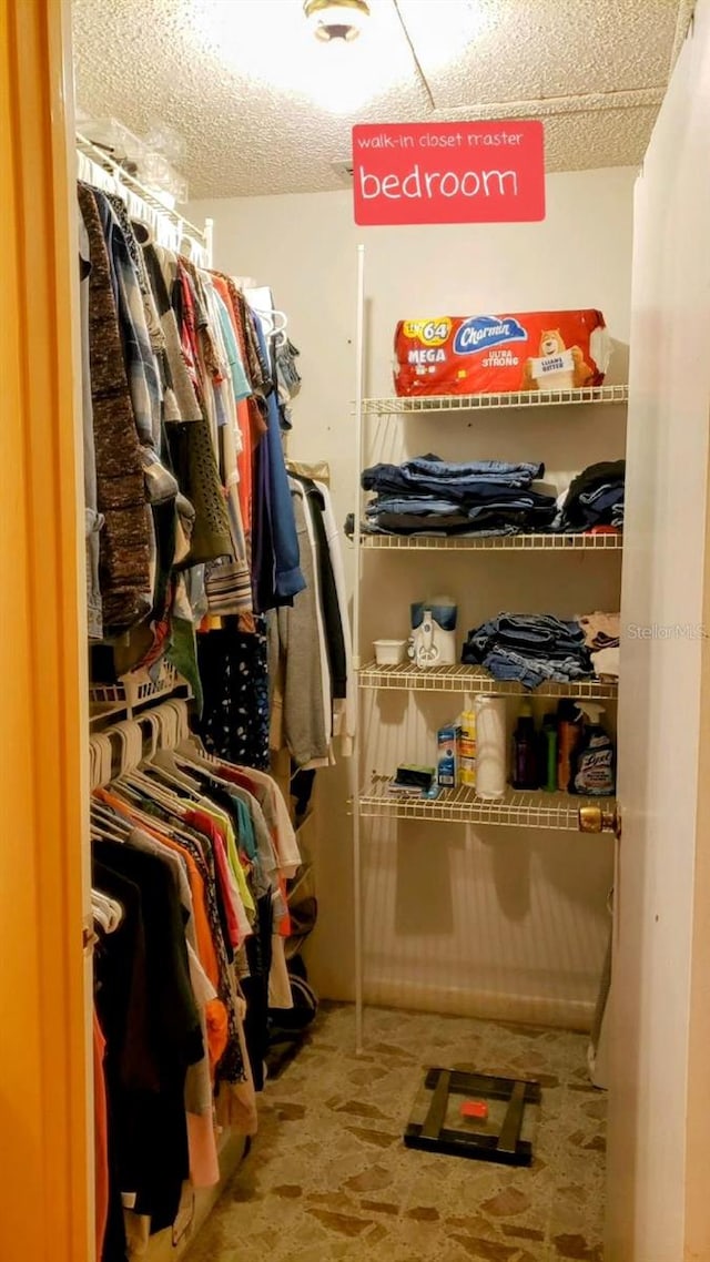 view of walk in closet