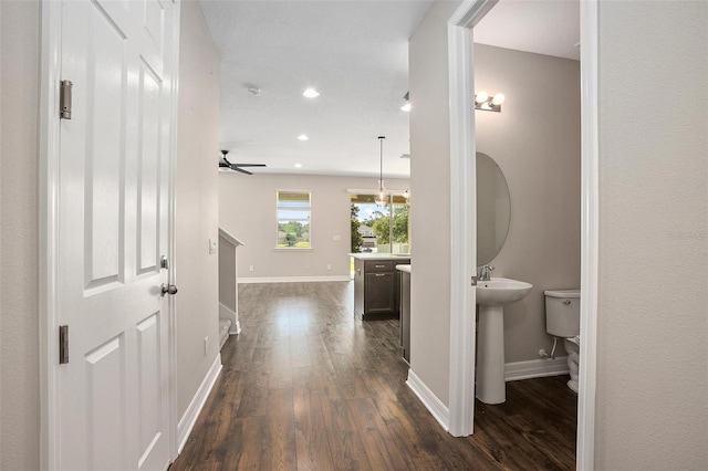 hallway featuring dark wood-type flooring and sink