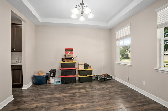 interior space featuring dark wood-type flooring, a tray ceiling, and a healthy amount of sunlight