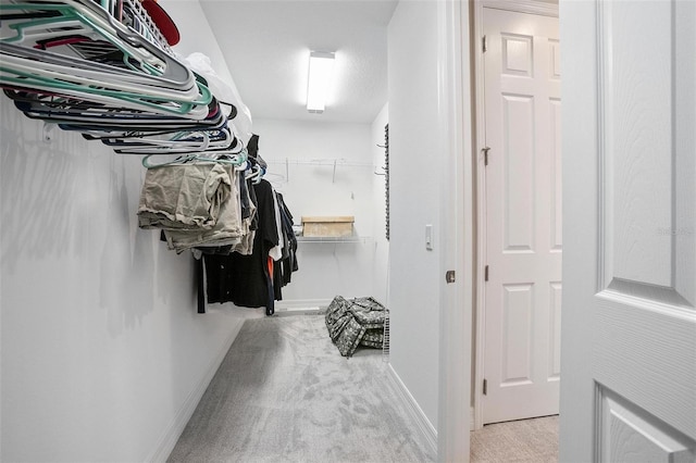 walk in closet with light carpet