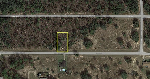 TBD Malauka Radial, Ocklawaha FL, 32179 land for sale