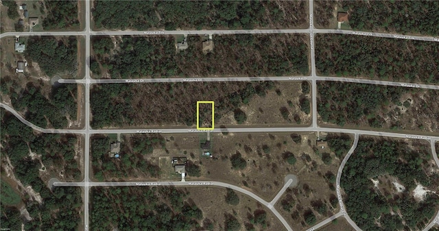 Listing photo 3 for TBD Malauka Radial, Ocklawaha FL 32179