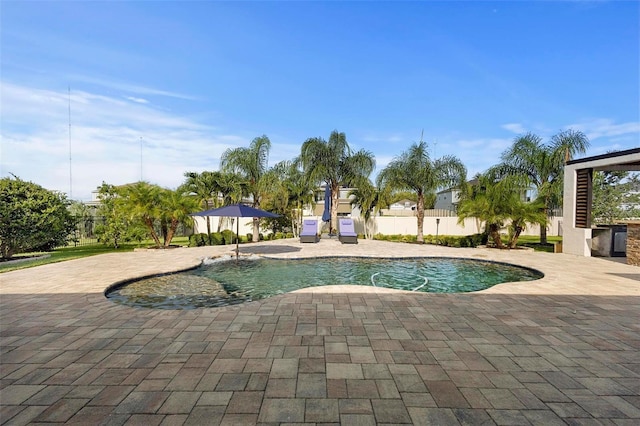 view of pool with a patio