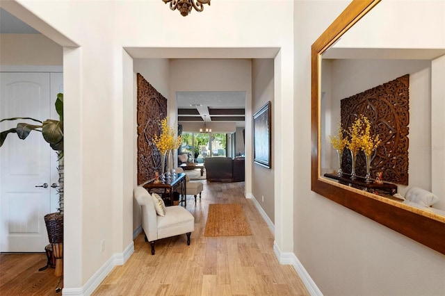 hall featuring light hardwood / wood-style floors