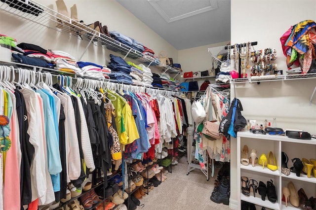 spacious closet with carpet