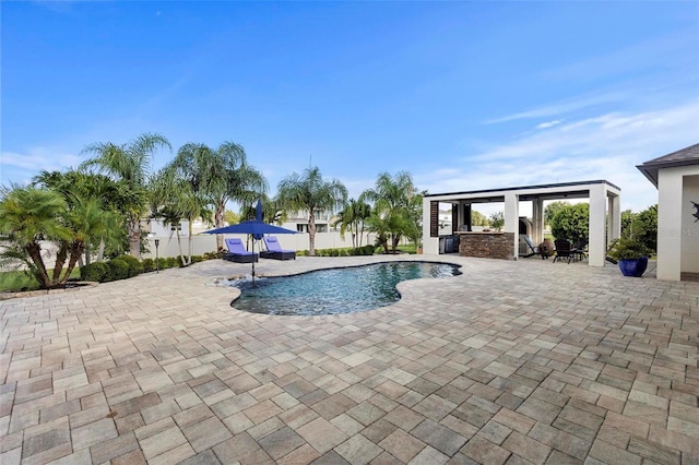 view of pool featuring a patio