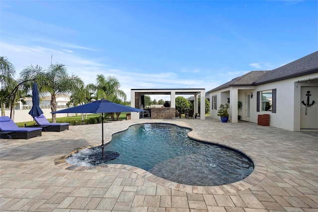 view of pool with area for grilling and a patio area