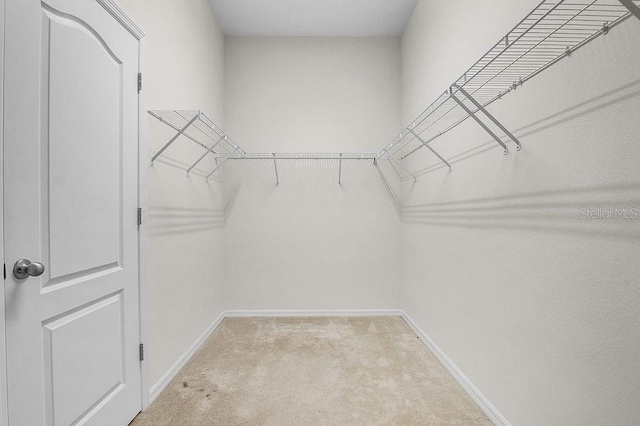 walk in closet with light colored carpet