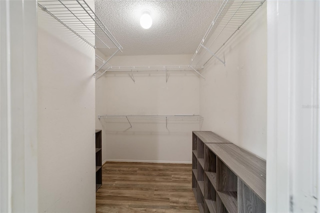 walk in closet with hardwood / wood-style floors