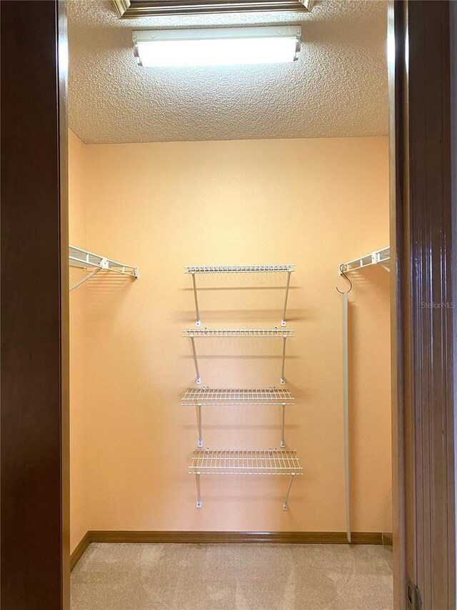 spacious closet featuring light colored carpet