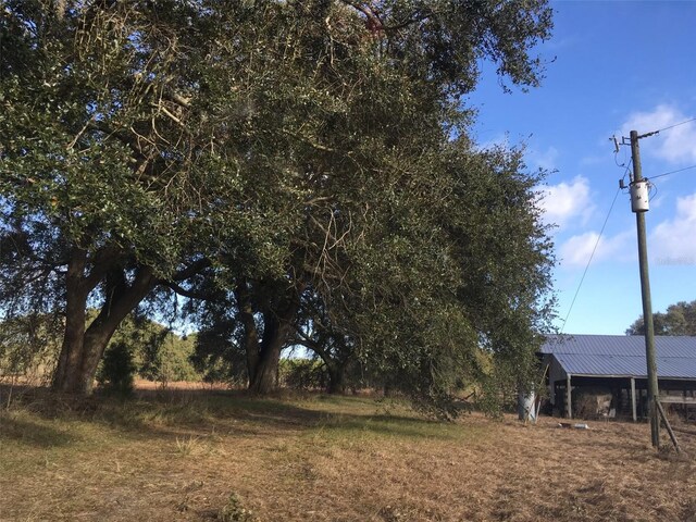 15589 104th St, Live Oak, FL 32060 - photo 8