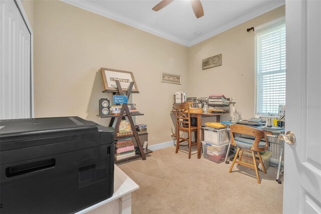 carpeted home office featuring ornamental molding and ceiling fan