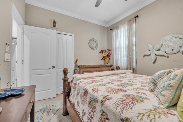 carpeted bedroom with ceiling fan, a closet, and ornamental molding