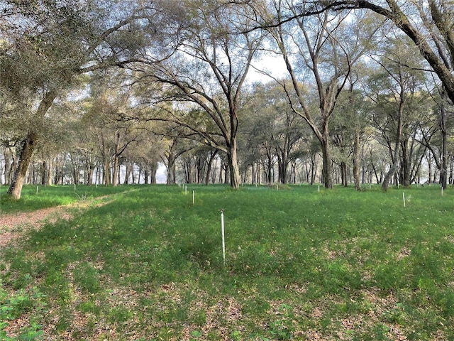 1494 Tilly Byrd Rd, Seville, FL 32190 - photo 2
