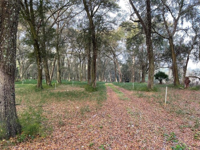 1494 Tilly Byrd Rd, Seville, FL 32190 - photo 6