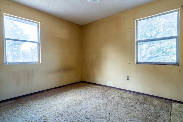 carpeted empty room with a textured ceiling