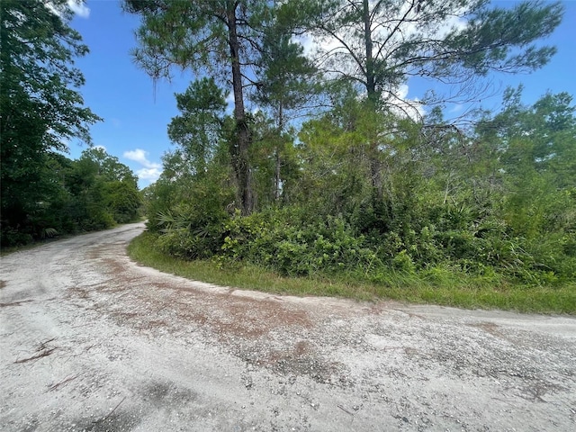 Hilda Ave, Paisley FL, 32767 land for sale