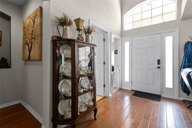 entryway with wood-type flooring and a high ceiling