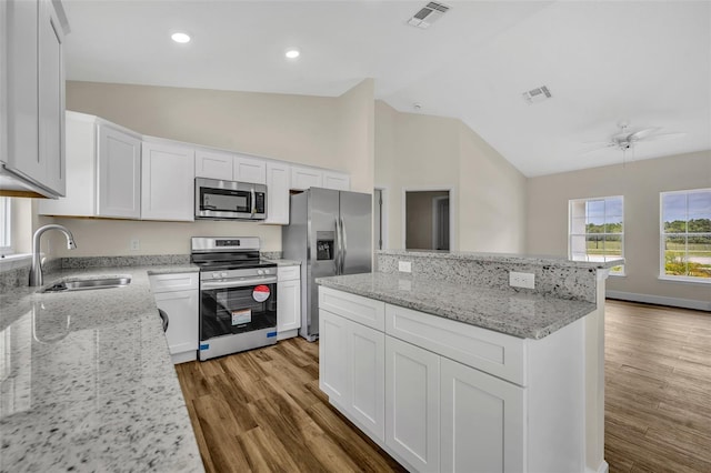 210 E Baxter St, De Leon Springs, FL 32130 - kitchen featuring stainless steel appliances, a sink, lofted ceiling, a kitchen island, and light wood-type flooring