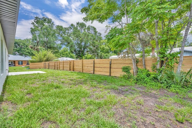 210 E Baxter St, De Leon Springs, FL 32130 - view of yard