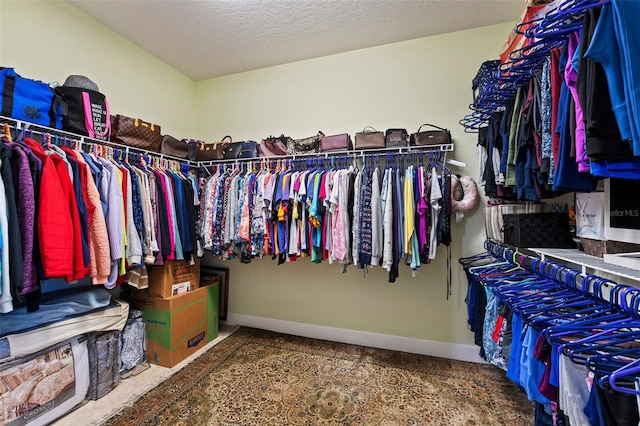 309 Chesham St, Ormond Beach, FL 32174 - spacious closet with carpet