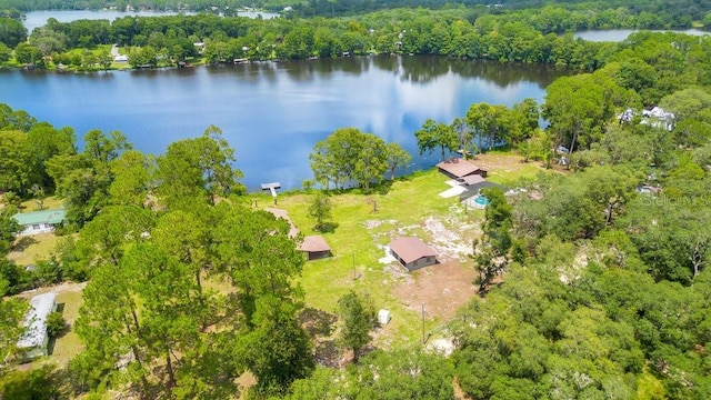 birds eye view of property featuring a water view and a forest view