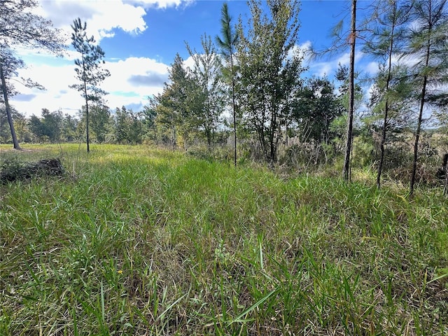 000 E 316, Citra FL, 32113 land for sale