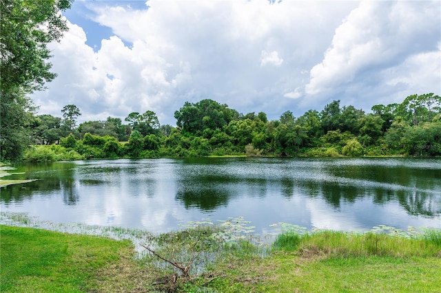 water view