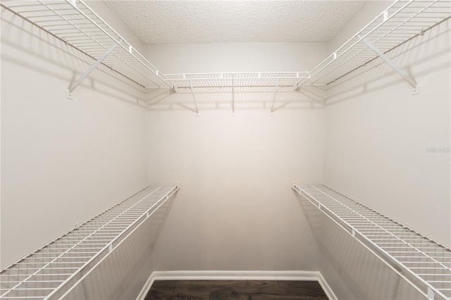 spacious closet featuring wood-type flooring