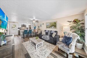 living room with ceiling fan and hardwood / wood-style floors