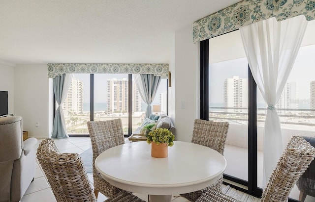 view of tiled dining area