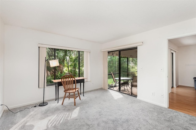 sitting room with light colored carpet